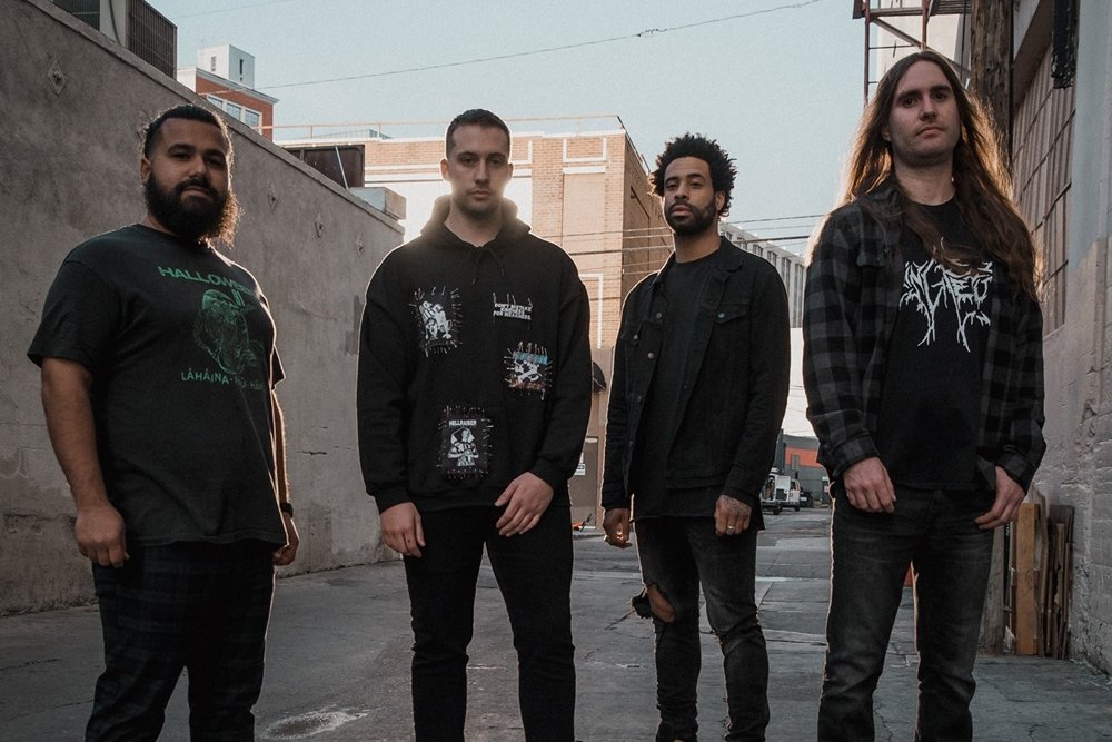 Volumes music, videos, stats, and photos Last.fm