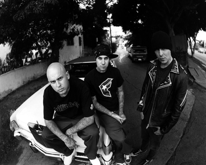 Transplants Profile Picture