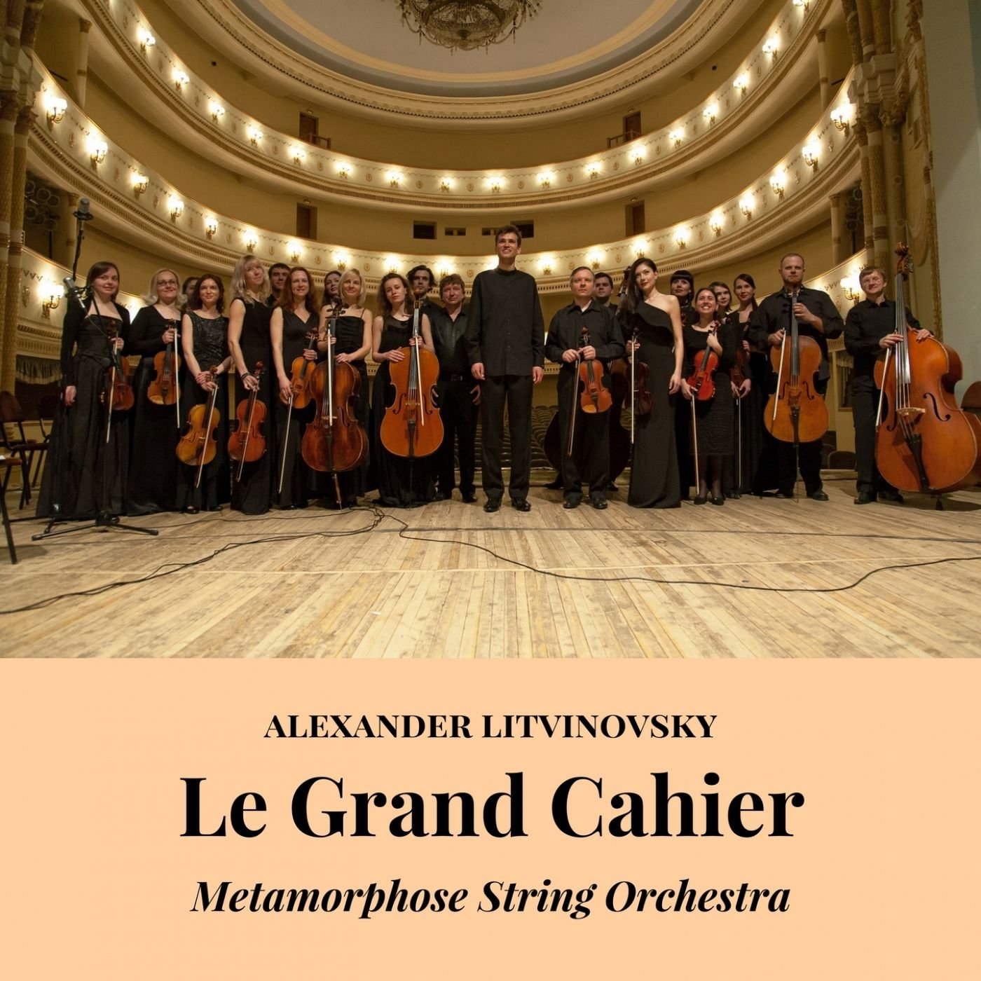 Metamorphose string orchestra. Метаморфозы оркестра. оркестр метаморфоза. litvinovsky композитор. string orchestra.