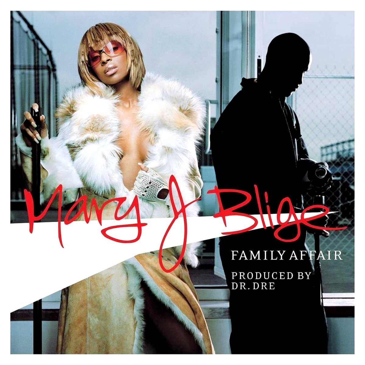 Family Affair (Instrumental) — Mary J. Blige | Last.fm