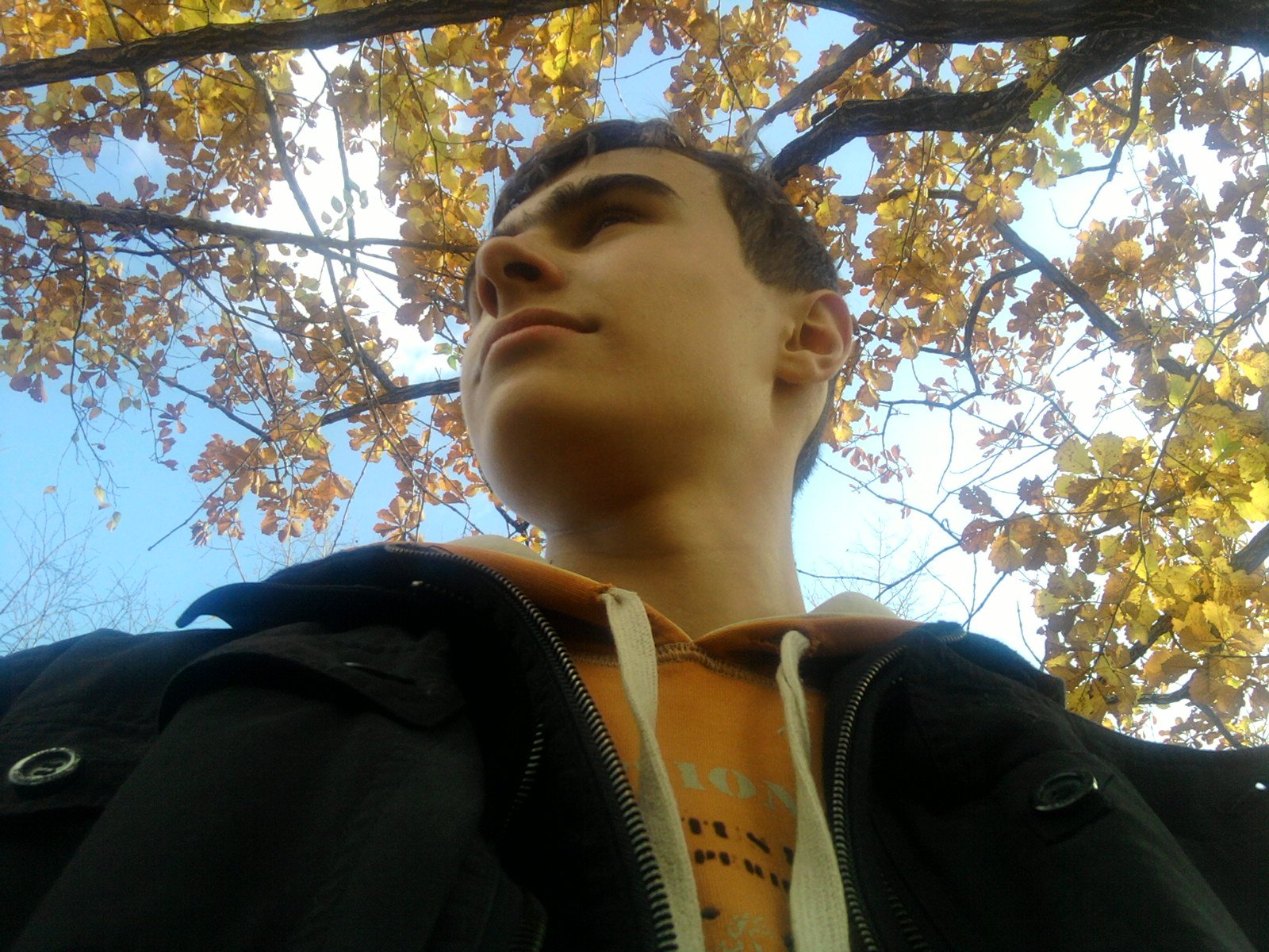 Сашка песня слушать онлайн бесплатно. Саня саня сашок. Траурный хардбасс. Слушать песню сашок. Слушать песню сашок.