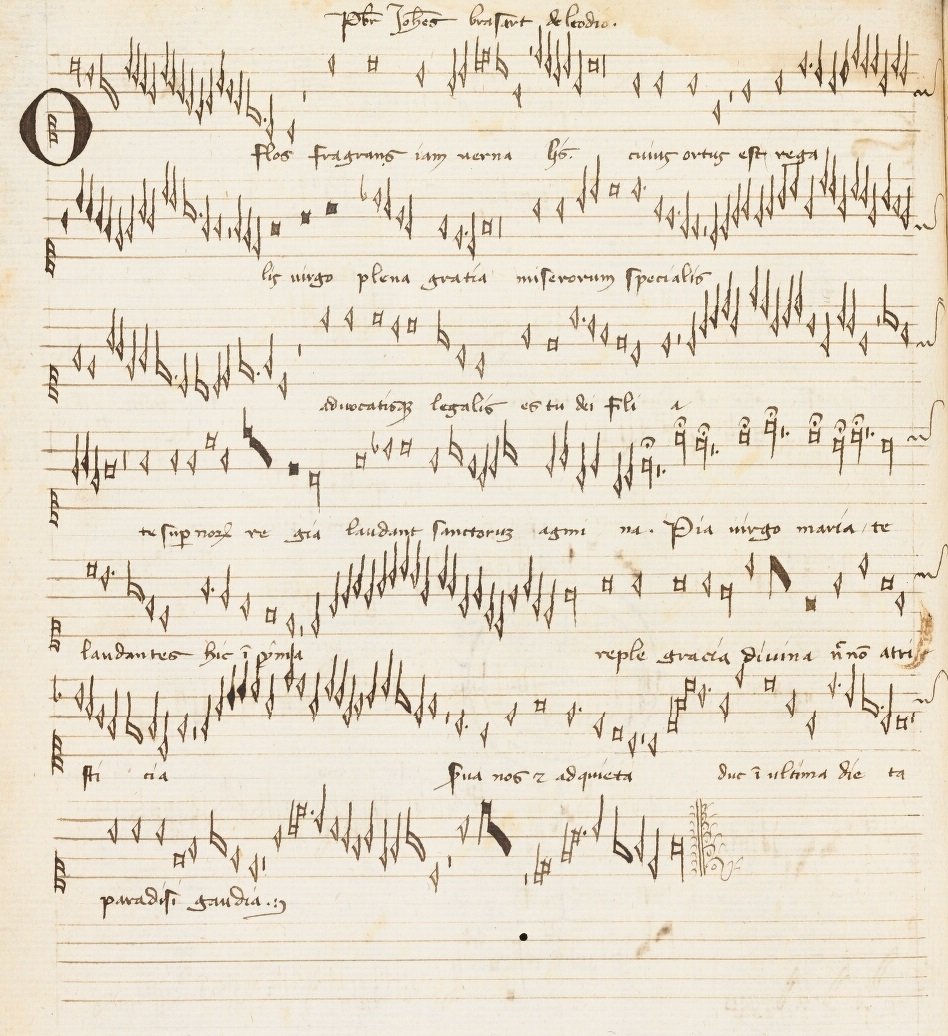 Johannes Brassart biography Last.fm