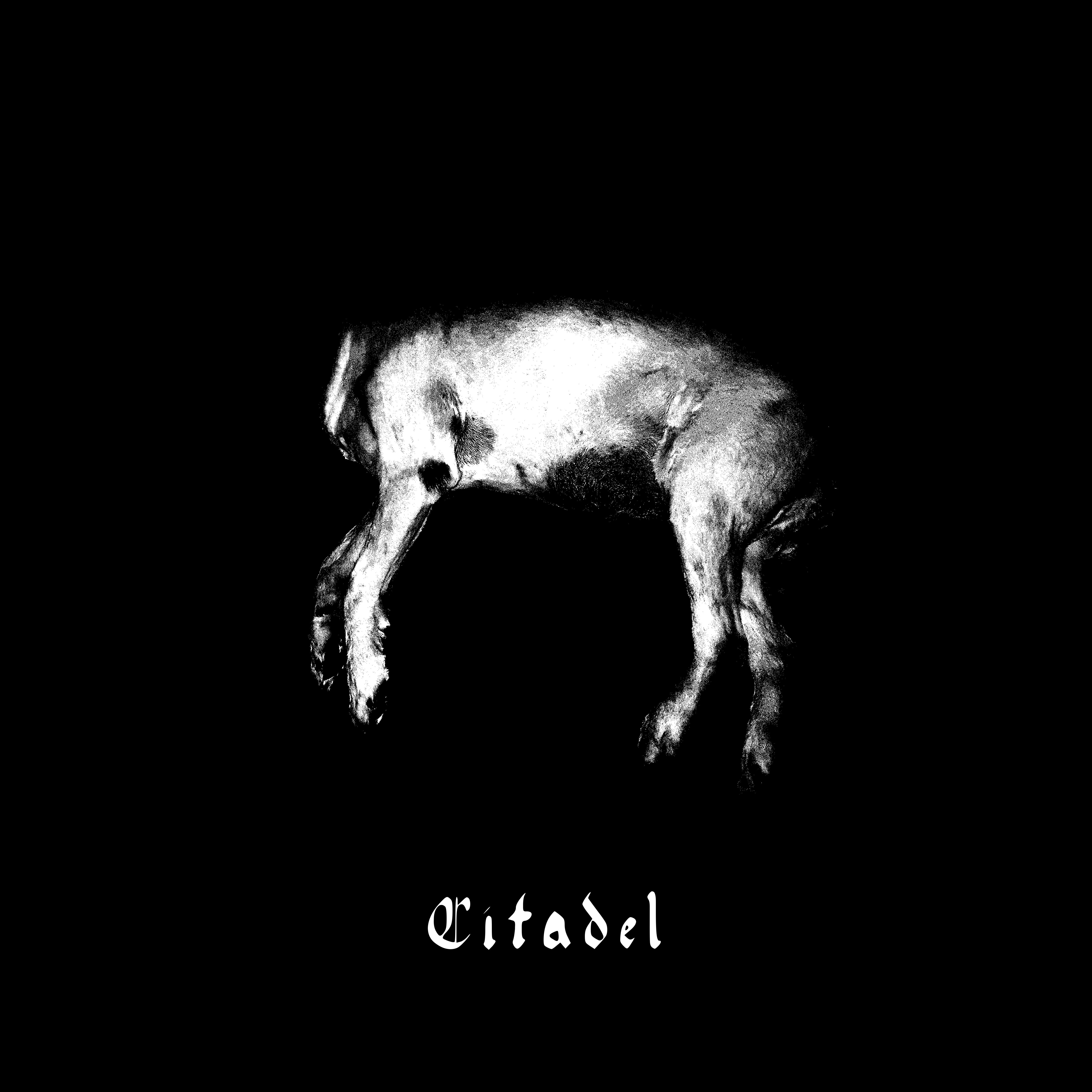 Cliff Jensen music, videos, stats, and photos Last.fm