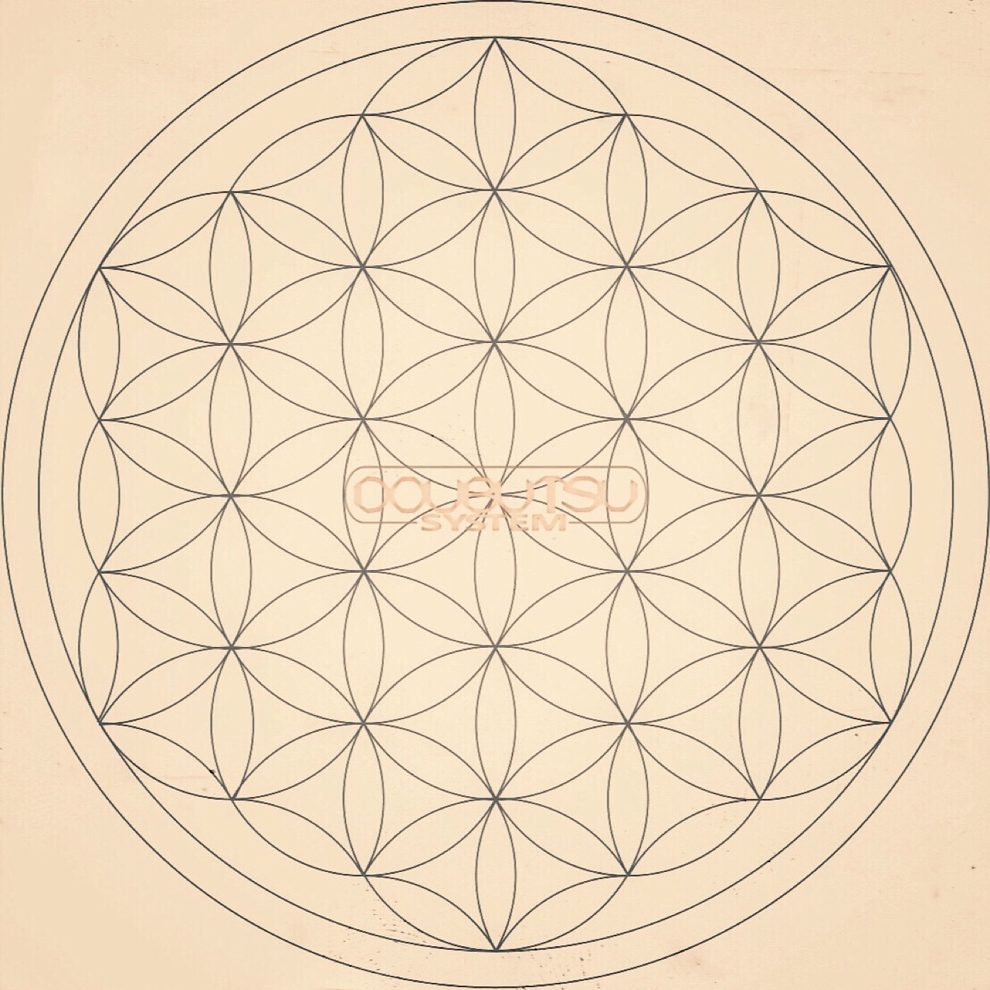 Doubutsu System Cover Image