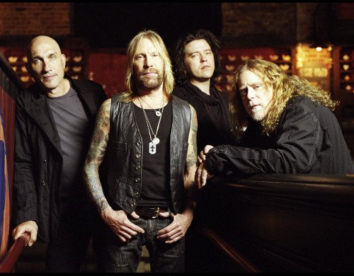Gov't Mule Profile Picture