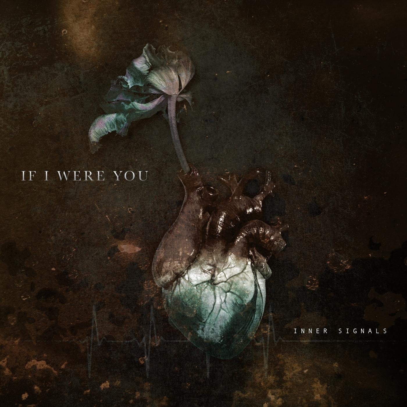 If i were you i do that. If i were you i do that. If i were you правило. If i were you альбом. If i were.