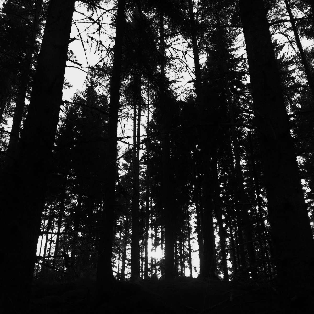 Dawn s1