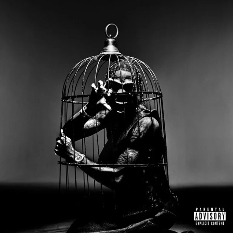 Travis scott interlude. Travis scott birds in the trap sing. travis scott birds in the trap sing mcknight. birds in the trap sing mcknight. travis scott goosebumps.