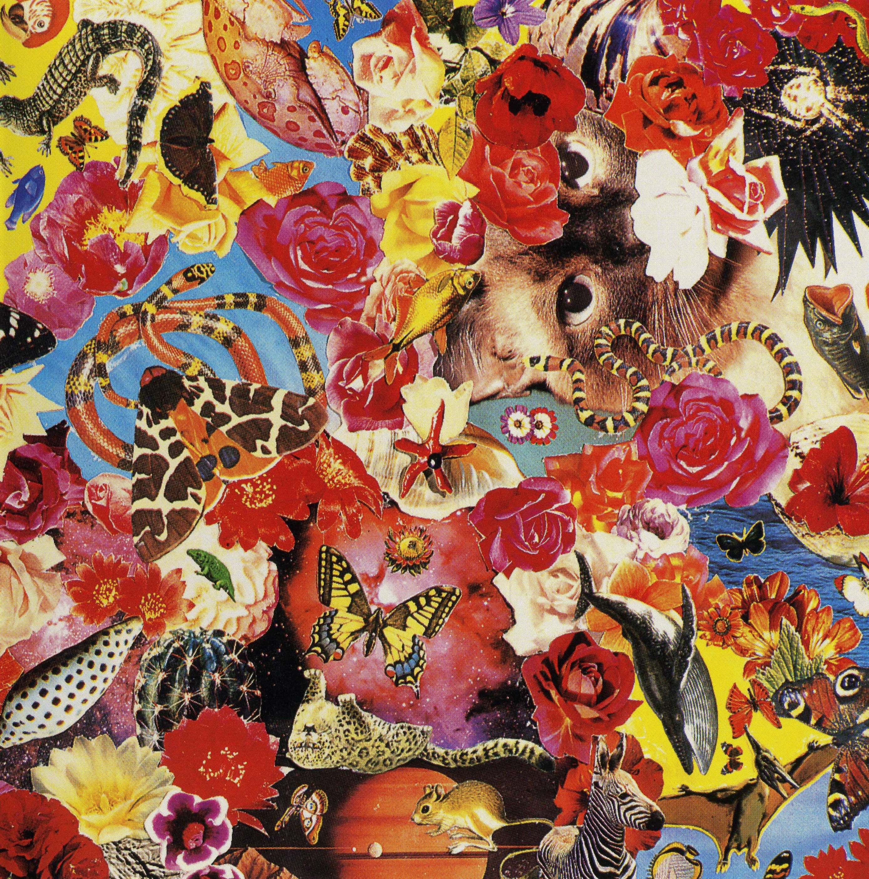 обложка альбома гражданская оборона с голыми мужчиной и женщиной. лет го альбом. хорошо гражданская оборона разворот. егор и опизденевшие альбомы. егор и опизденевшие 100 лет одиночества.