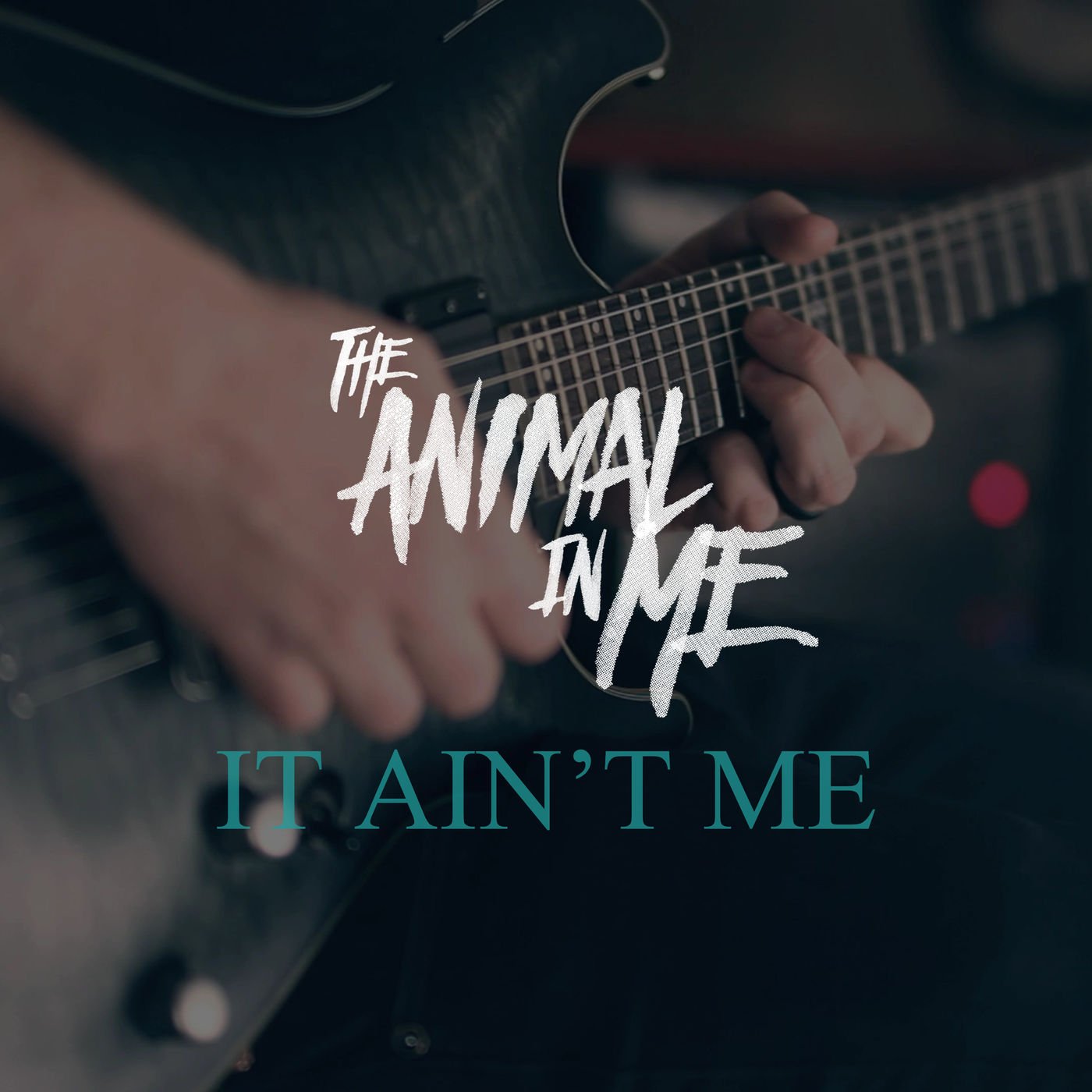 Музыка ain t. The animal in me группа. The animal in me обложка. Silence animal in me. Animal in me solens.