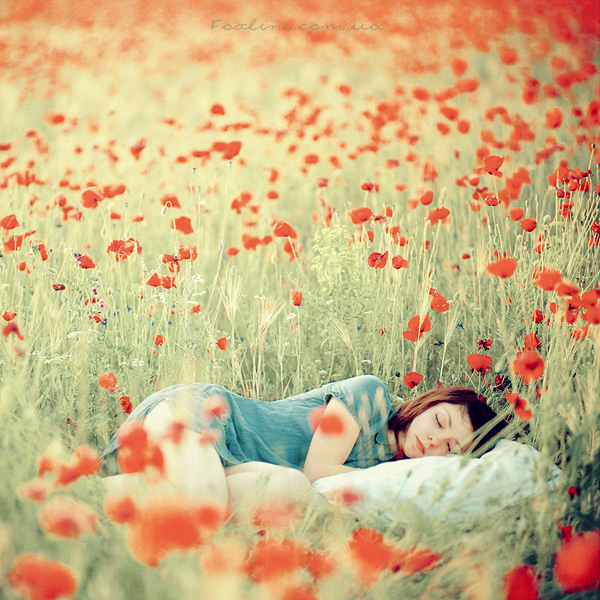 2 Hours Beautiful Relaxing Music for Stress Relief - Calming Music for Meditatio