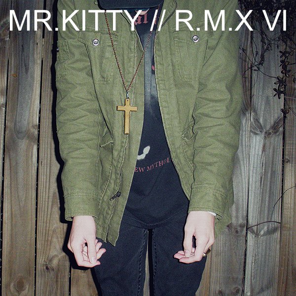 Mr.Kitty (@mrkittydm) / X