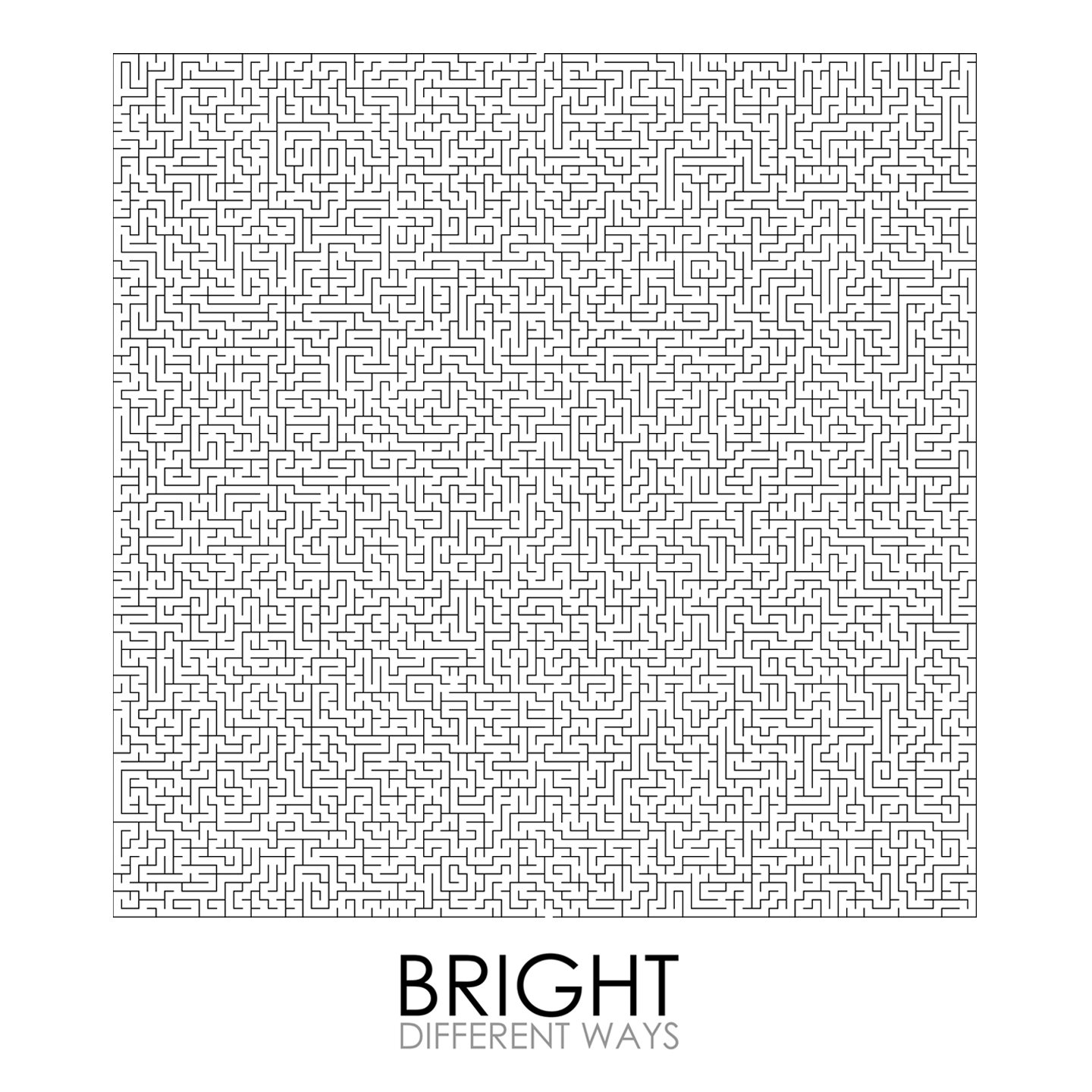 Яркие мазки краски. Bright different. Хризантема мультифлора ромашка. Хризантема георгины пионы. Bright different.