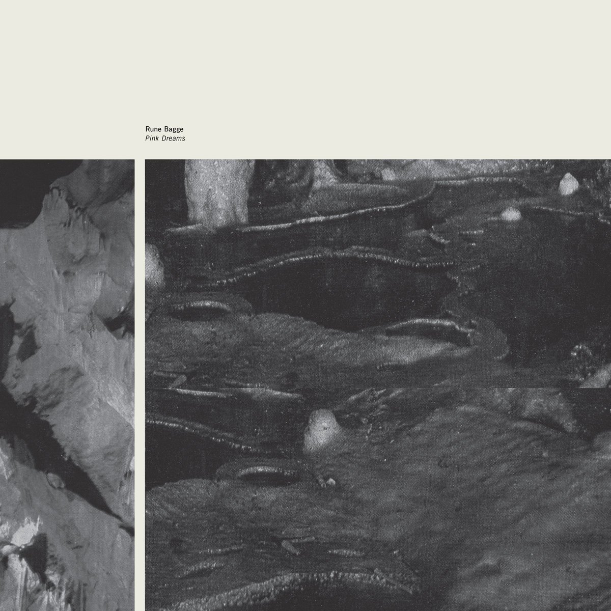 Cold plains. Cold plains