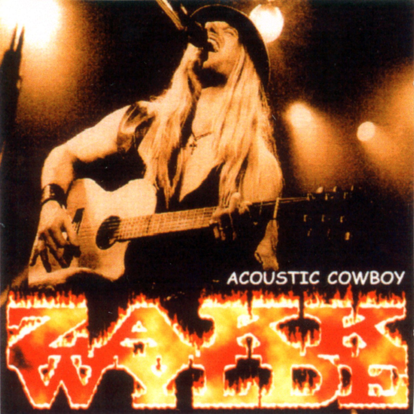Zakk 2024 wylde acoustic
