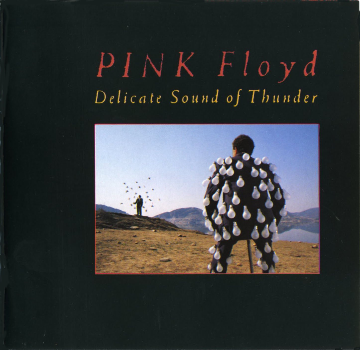 Delicate Sound Of Thunder CD1 — Pink Floyd | Last.fm