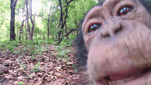 3cc760db4366c8dcd3ec0f2a566301d7.gif