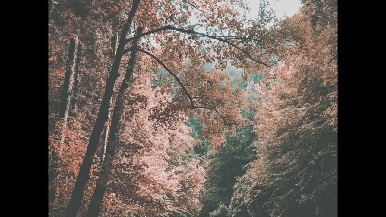 Still breathing перевод dvrst. Still breathing перевод dvrst. Phonk house mix. Still breathing atori zoom. Still breathing dvrst обои.