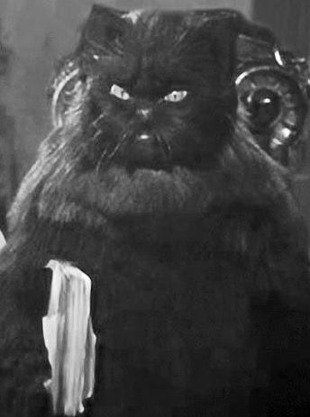 Страшилки кот бегемот