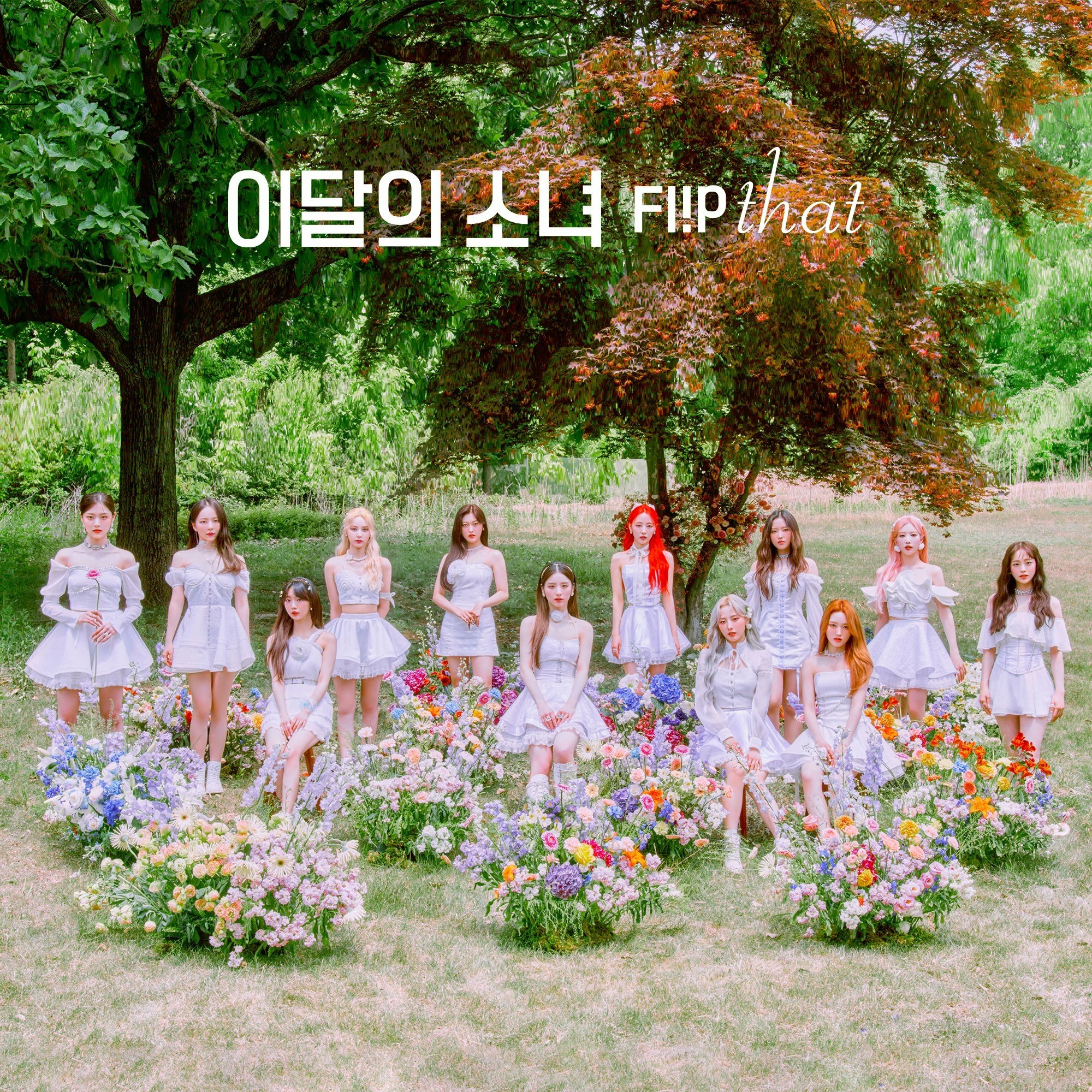 LOONA flip that サイン アルバム 今月の少女 ◇今月の少女 (yyxy) LOONA Summer Special Mini Album 『Flip