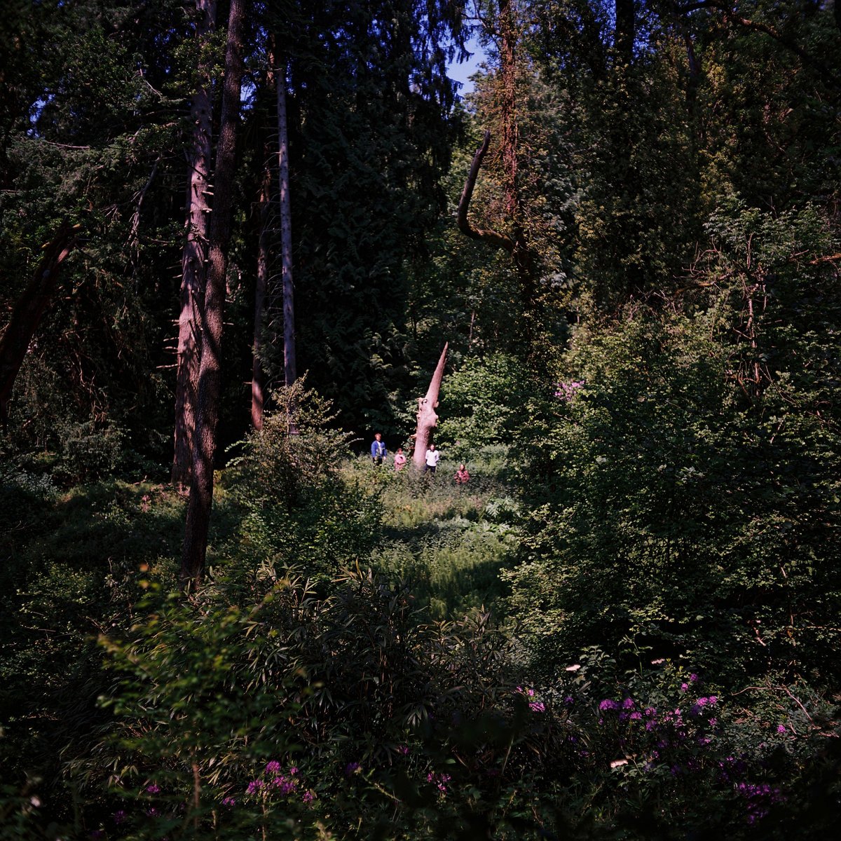 Quade music, videos, stats, and photos Last.fm