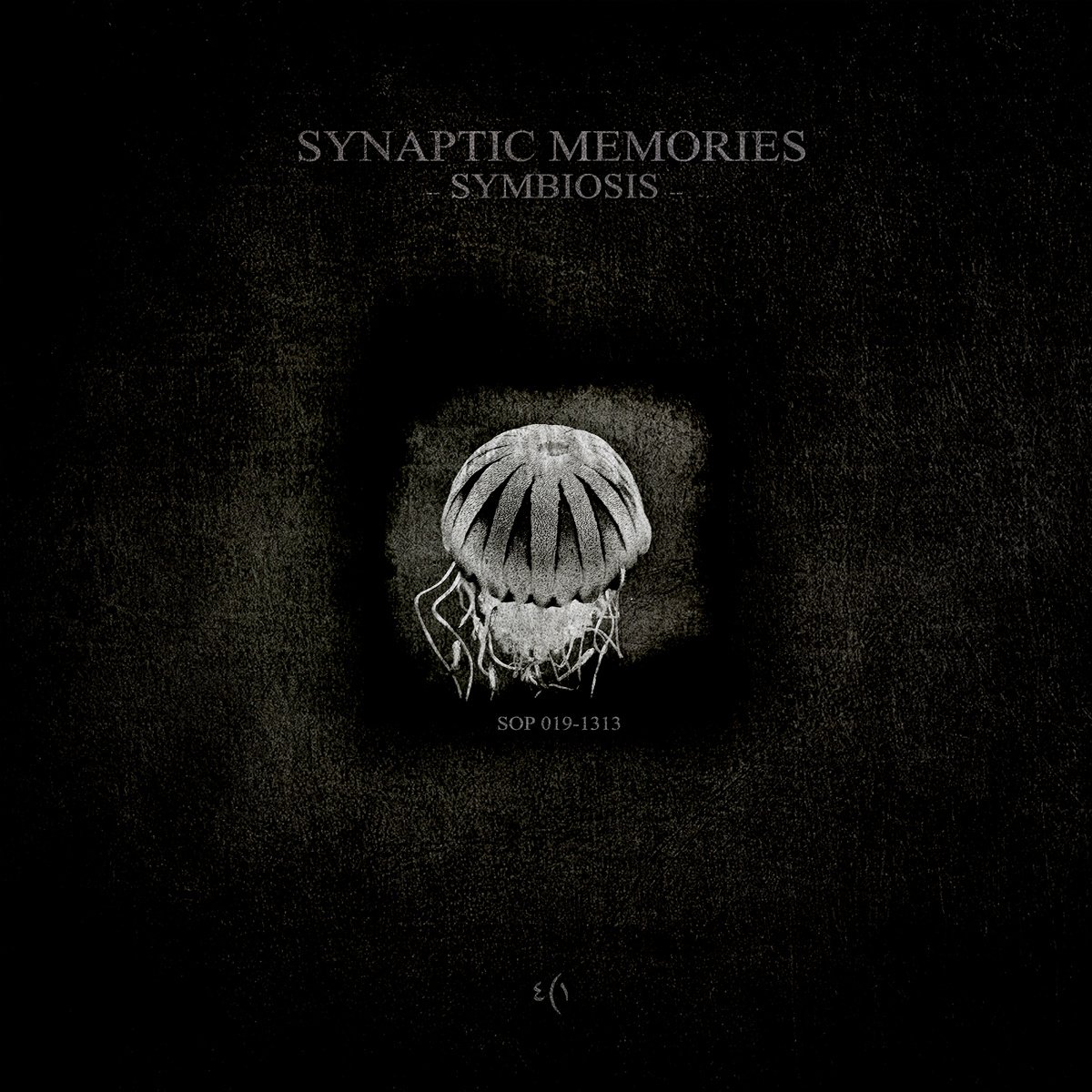 Symbiosis Ram am обложка. The Memories acid. 2013 - Zero. Last Memory.