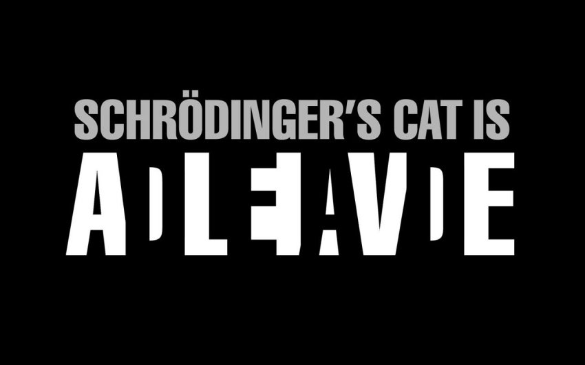 Шредингер кот
