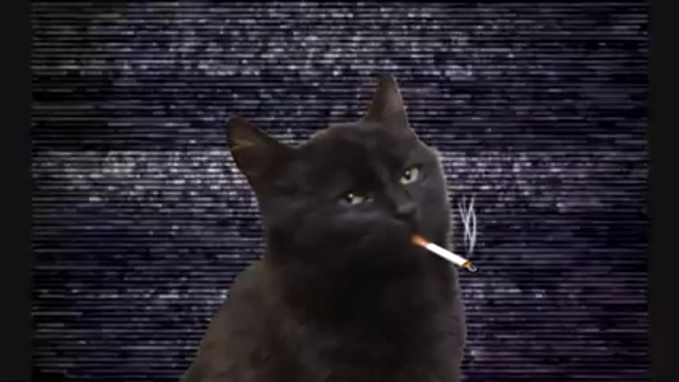 Кот с сигаретой