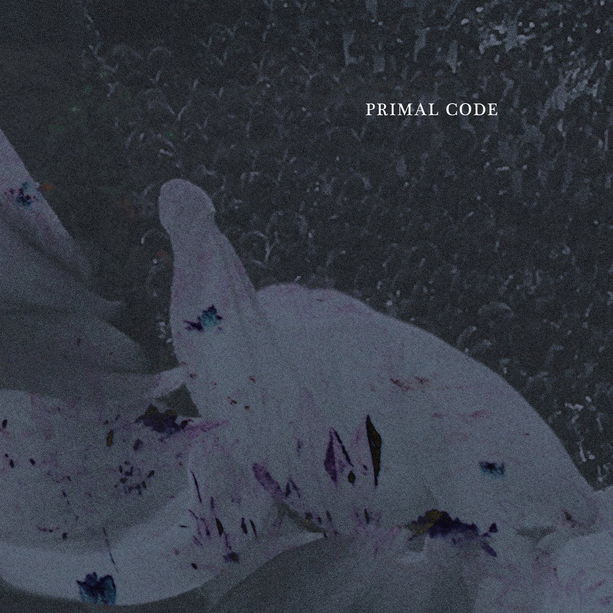 Primal code. Primal code