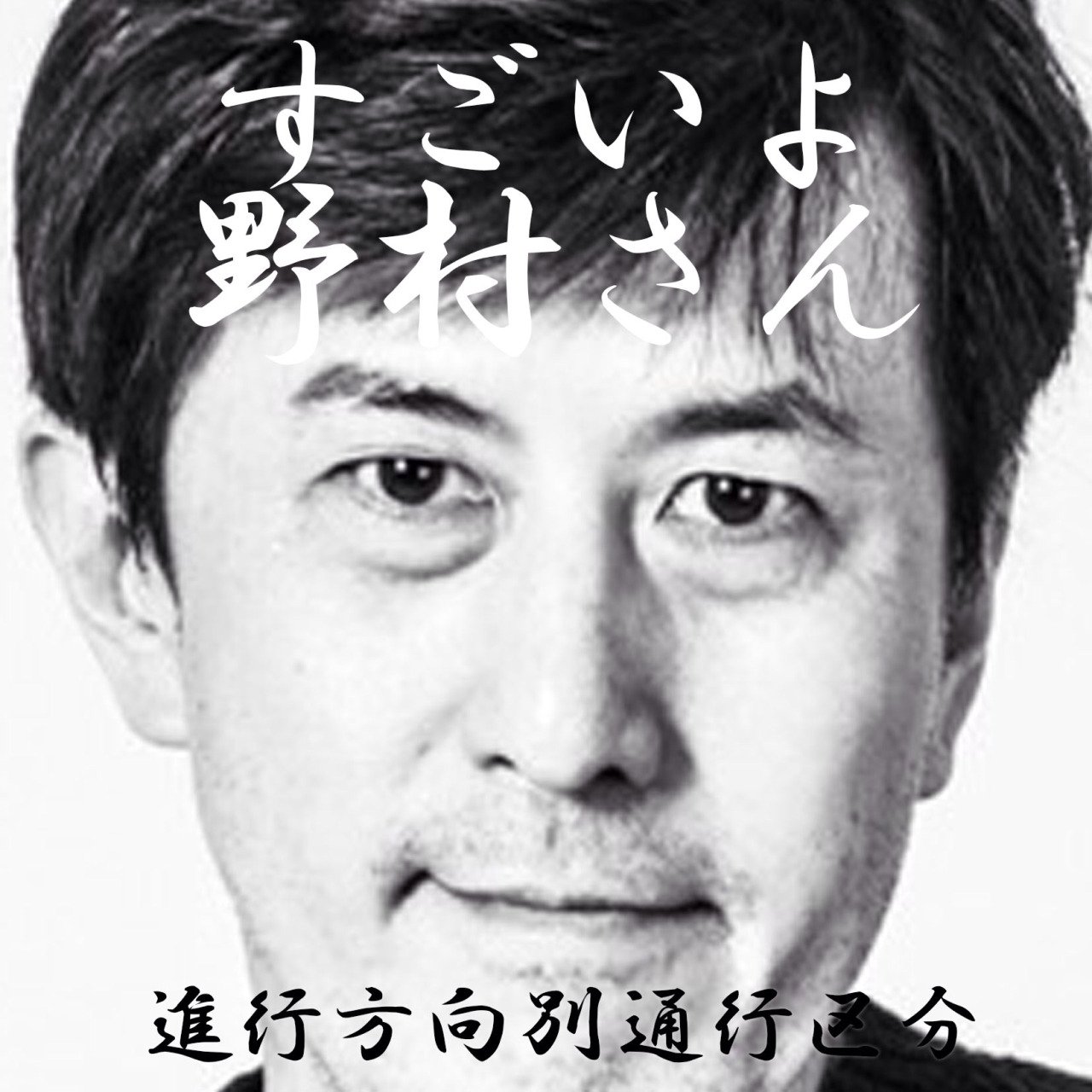 進行方向別通行区分「すごいよ野村さん」新品 | genesysmed.com.br