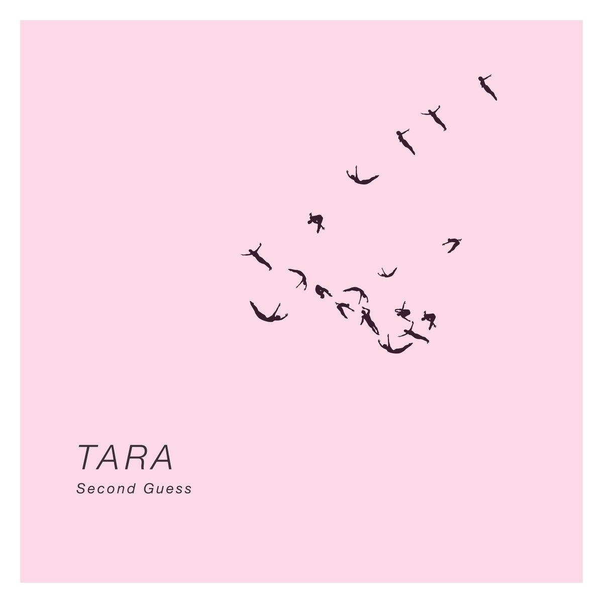Tara's Second Assignment