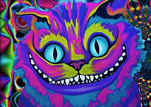 Melissa Trippy Twitter