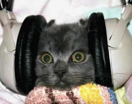 Annushka13's music tagged as experimental Last.fm