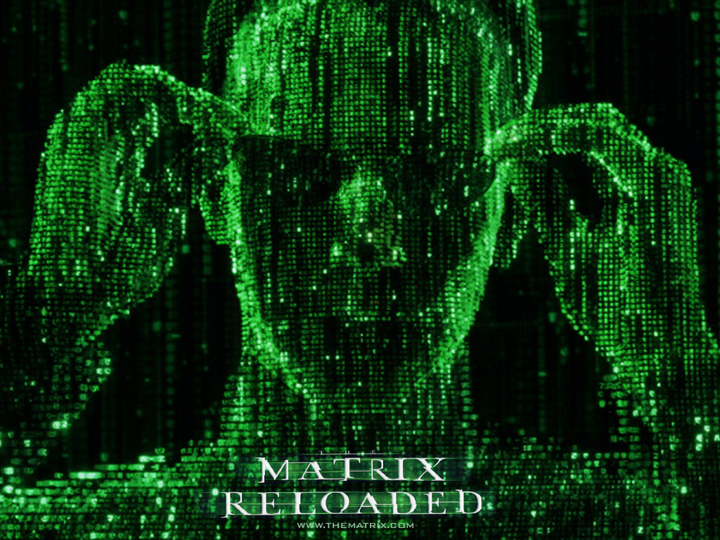 How to Exit the Matrix in 6 Steps Humanity healing, What is an empath, Matrix