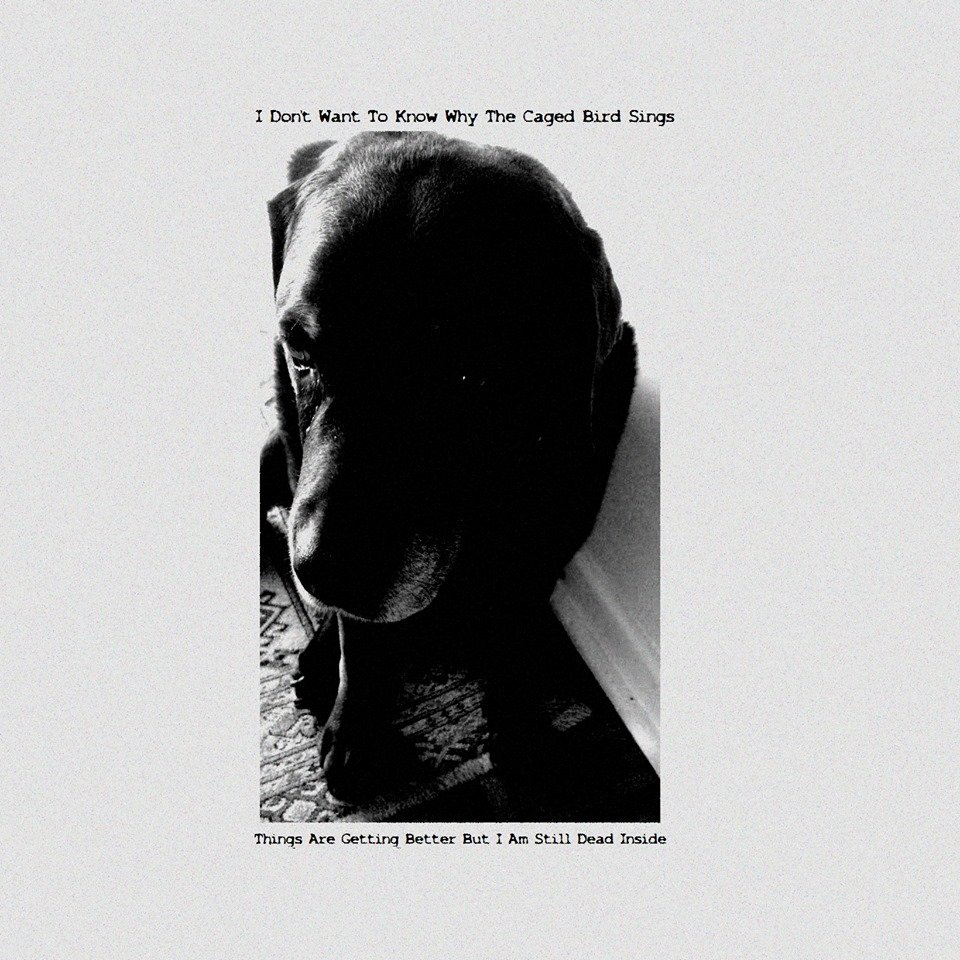Песни i wanted to leave. @ovaksss:i wanted to leave - syml. Syml обложки. Песни i wanted to leave. @ovaksss:i wanted to leave - syml.