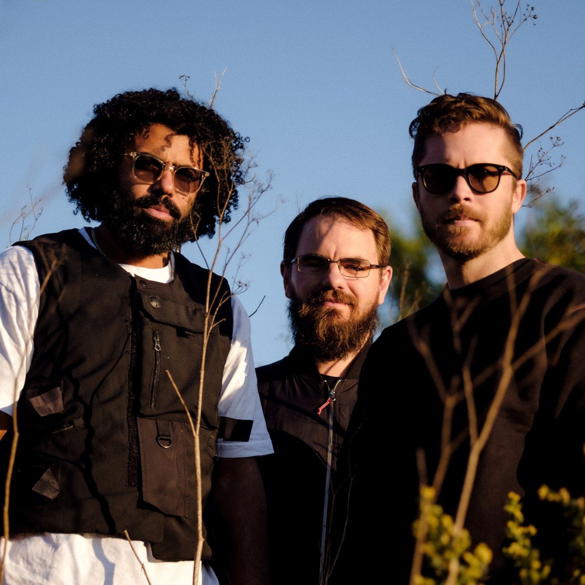 Кавер группа москва. Harley owners group. Гор кавер группа. Dusk группа. Near group.