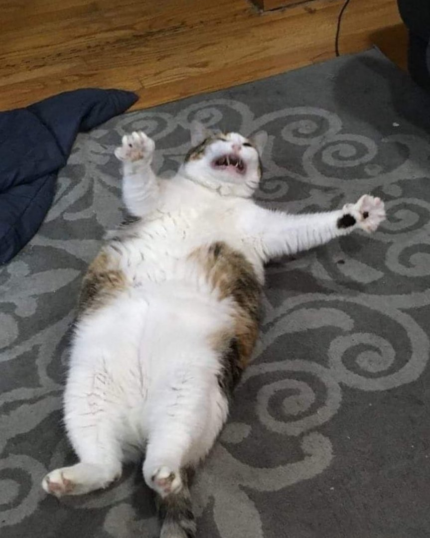 LinaReman Müzik Profili Last.fm 