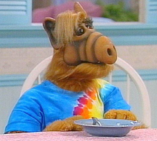 Альф фото из сериала Pin on recuerdos ❤ Alf, Sick dog, Best pet insurance