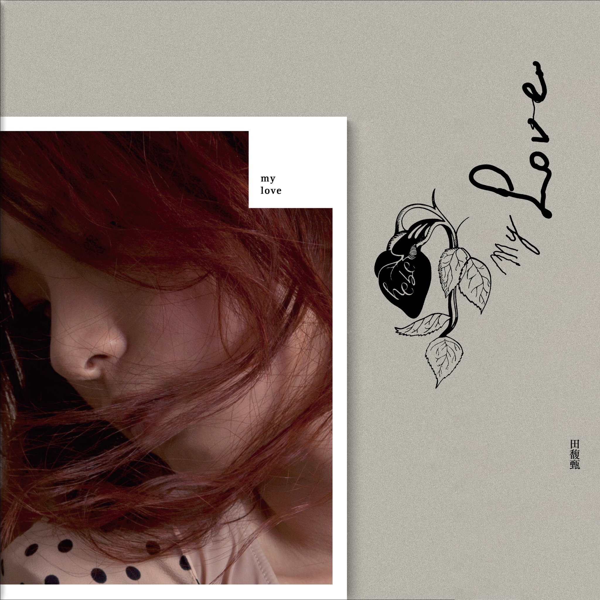 田馥甄– My Love – Vinyl (LP, Album, Stereo), 2018 [r15287677
