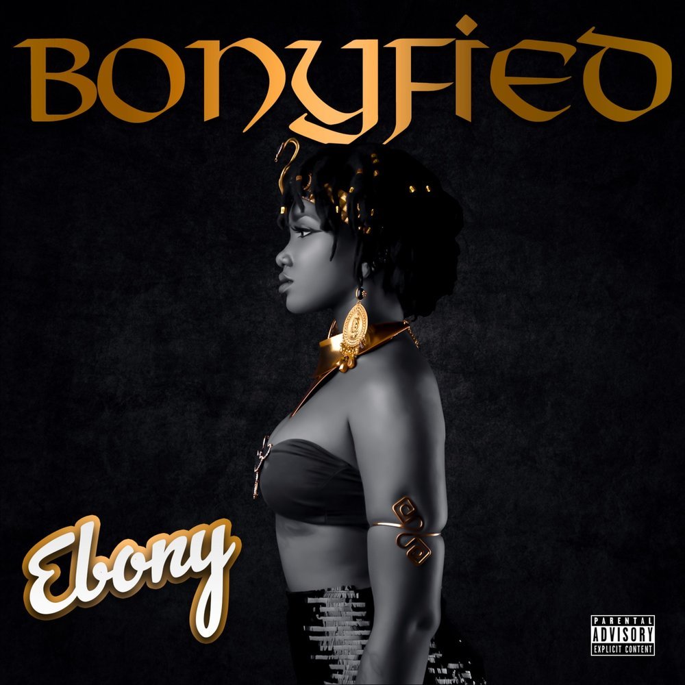 Turn on the Light - Ebony Last.fm.