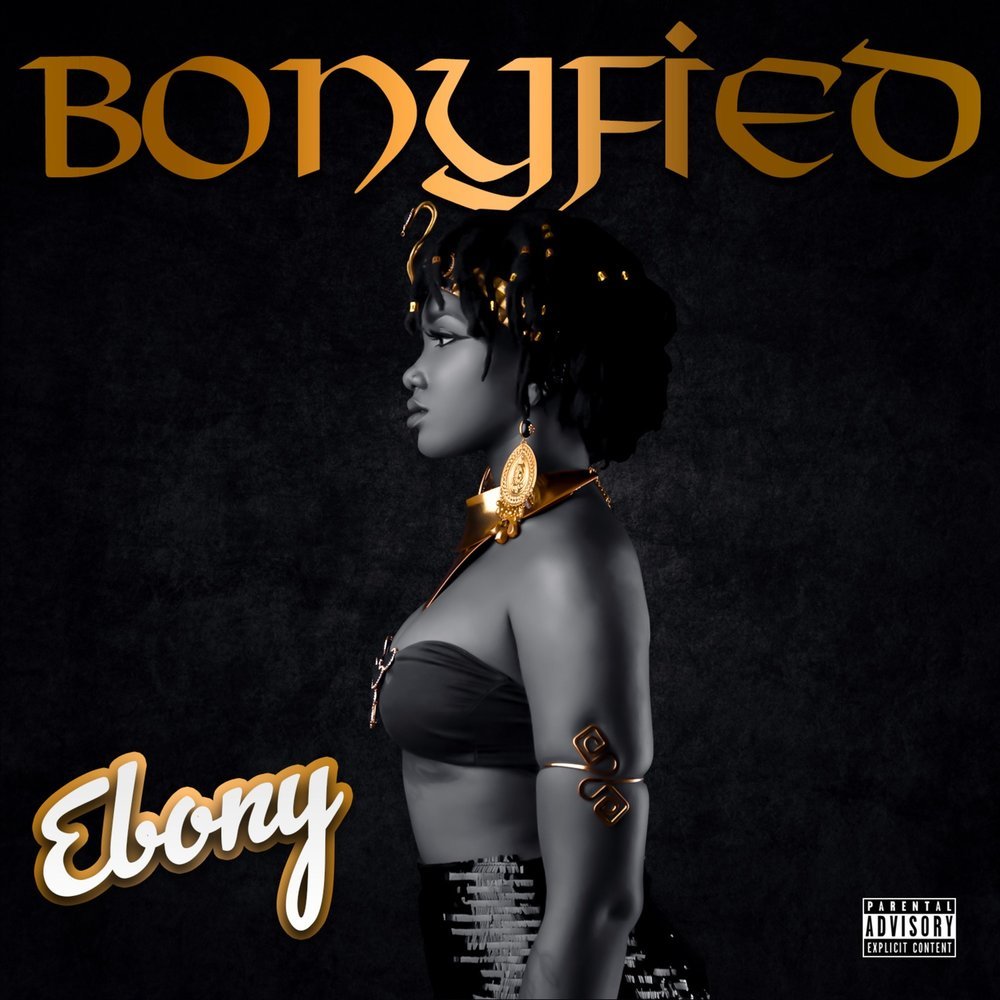 Ebony reigns song turn on the light