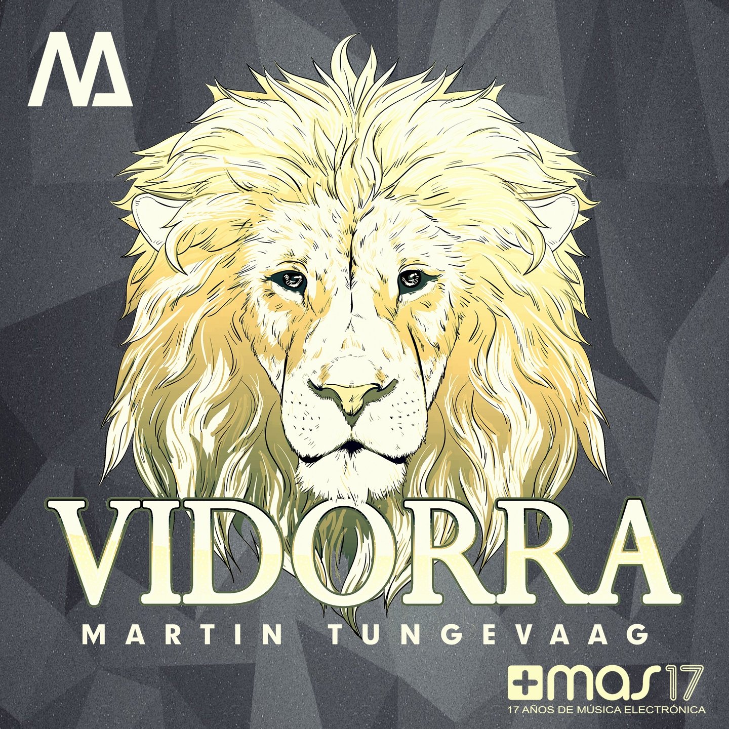 vidorra martin tungevaag last fm vidorra martin tungevaag last fm