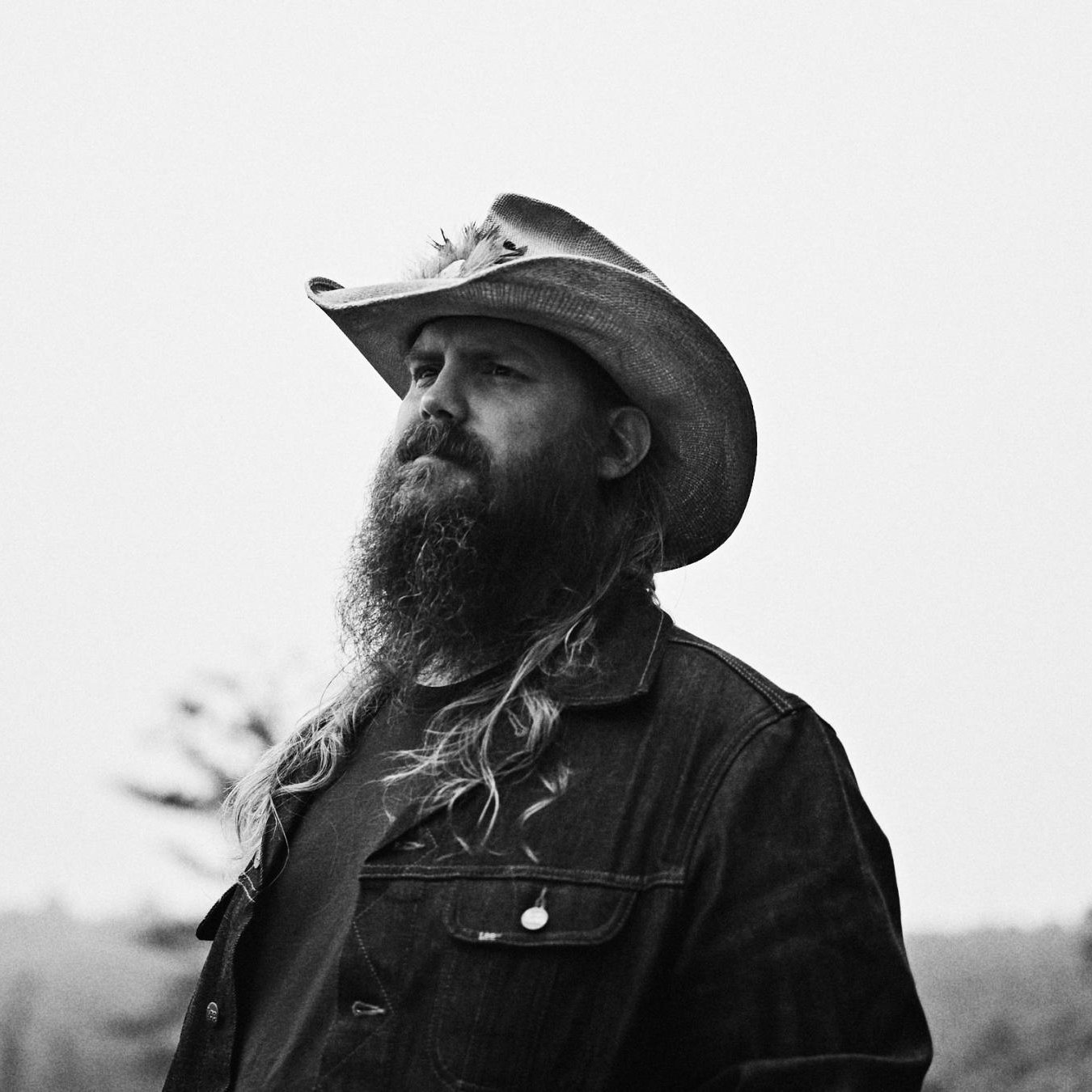 Chris Stapleton Profile Picture