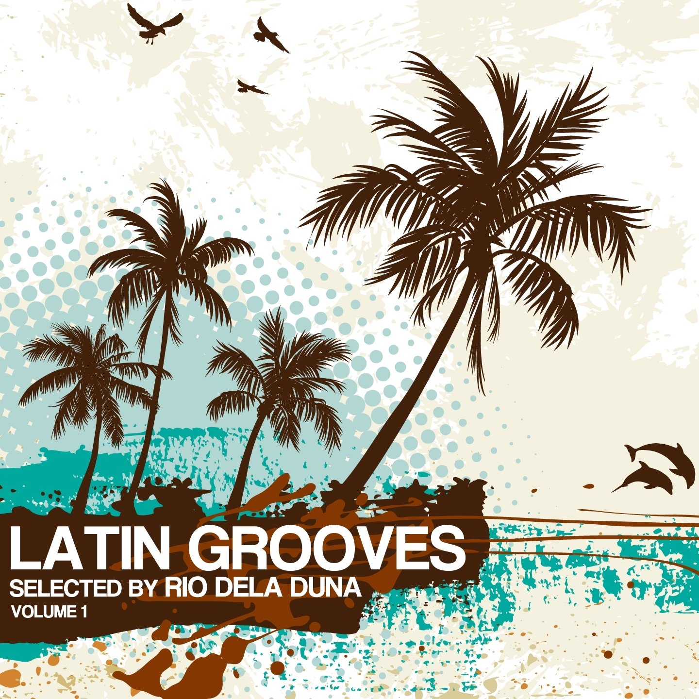 Latin groove dance academy on the app store