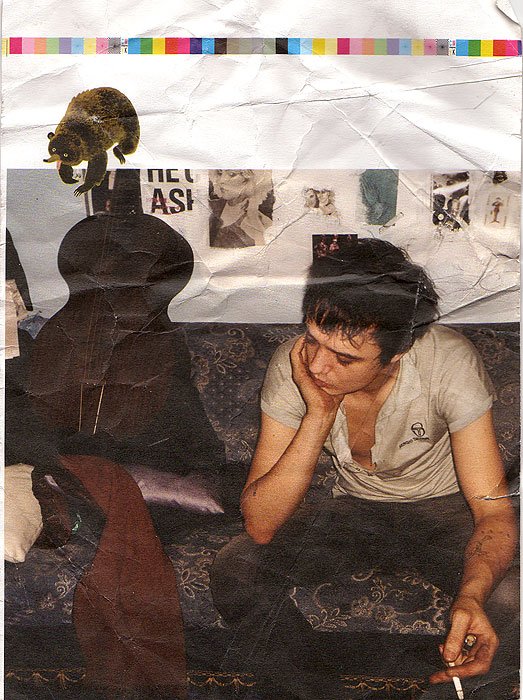 Peter Doherty Profile Picture