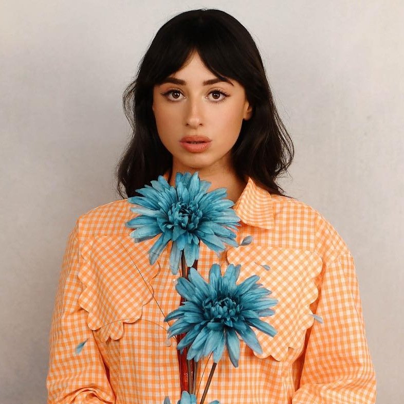 Foxes Profile Picture