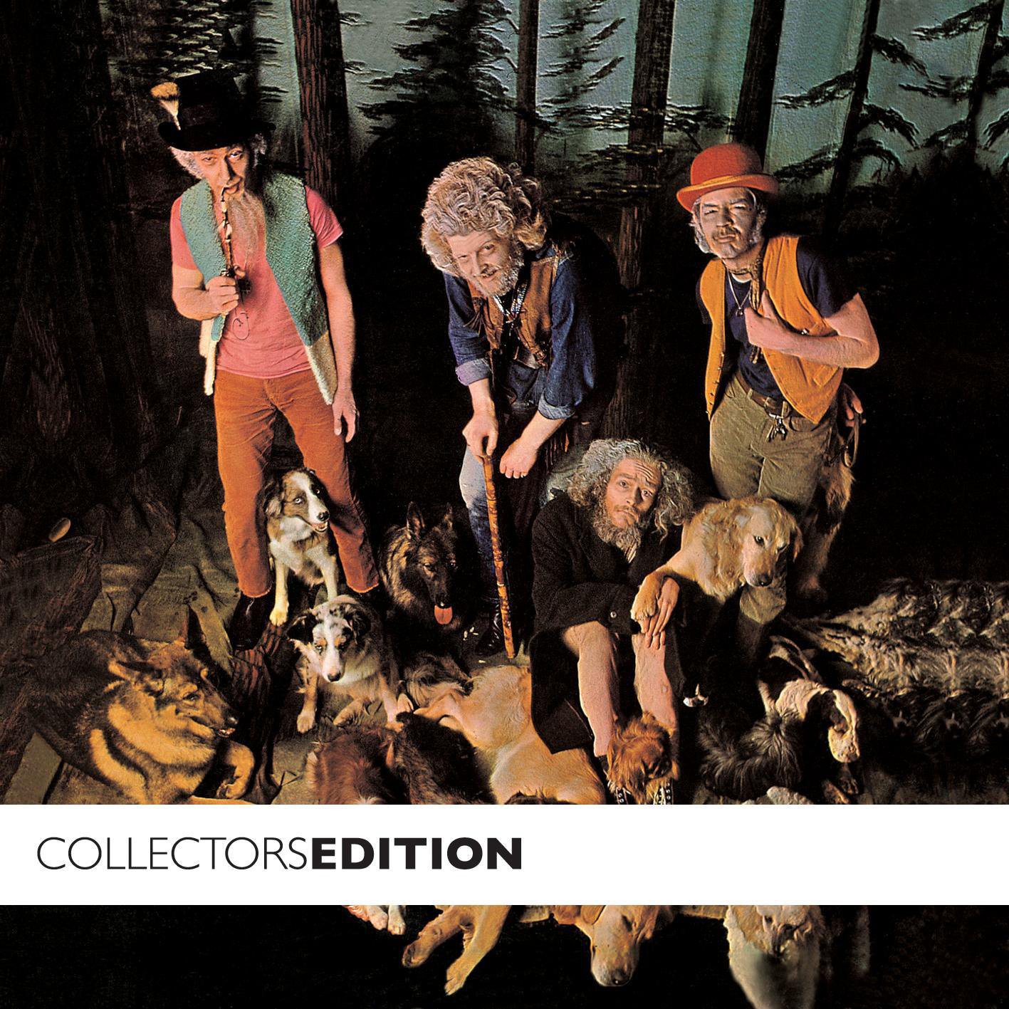 Jethro tull curious ruminant mp3