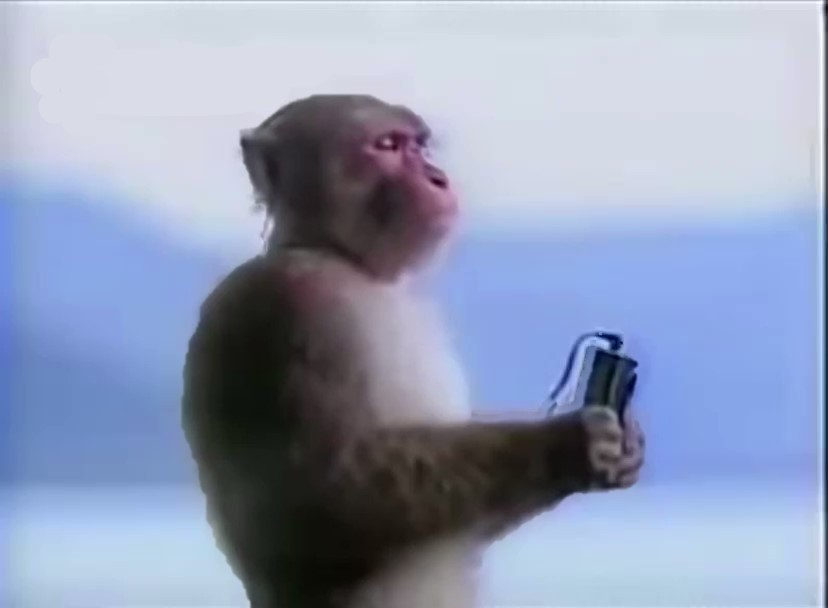 Обезьяна мем