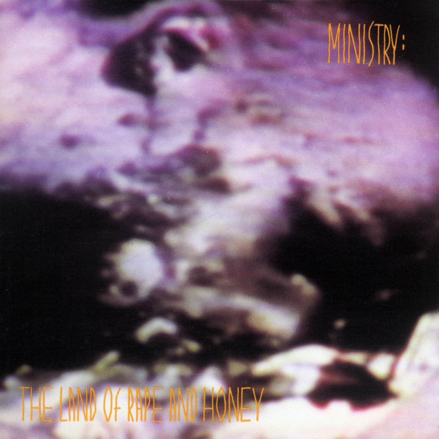 The Land of Rape and Honey — Ministry | Last.fm