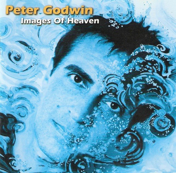 peter godwin musician net worth